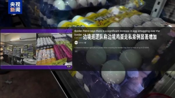 好牛配资 冲上热搜！美墨边境开始走私鸡蛋！“关税政策反噬美国本土民众”