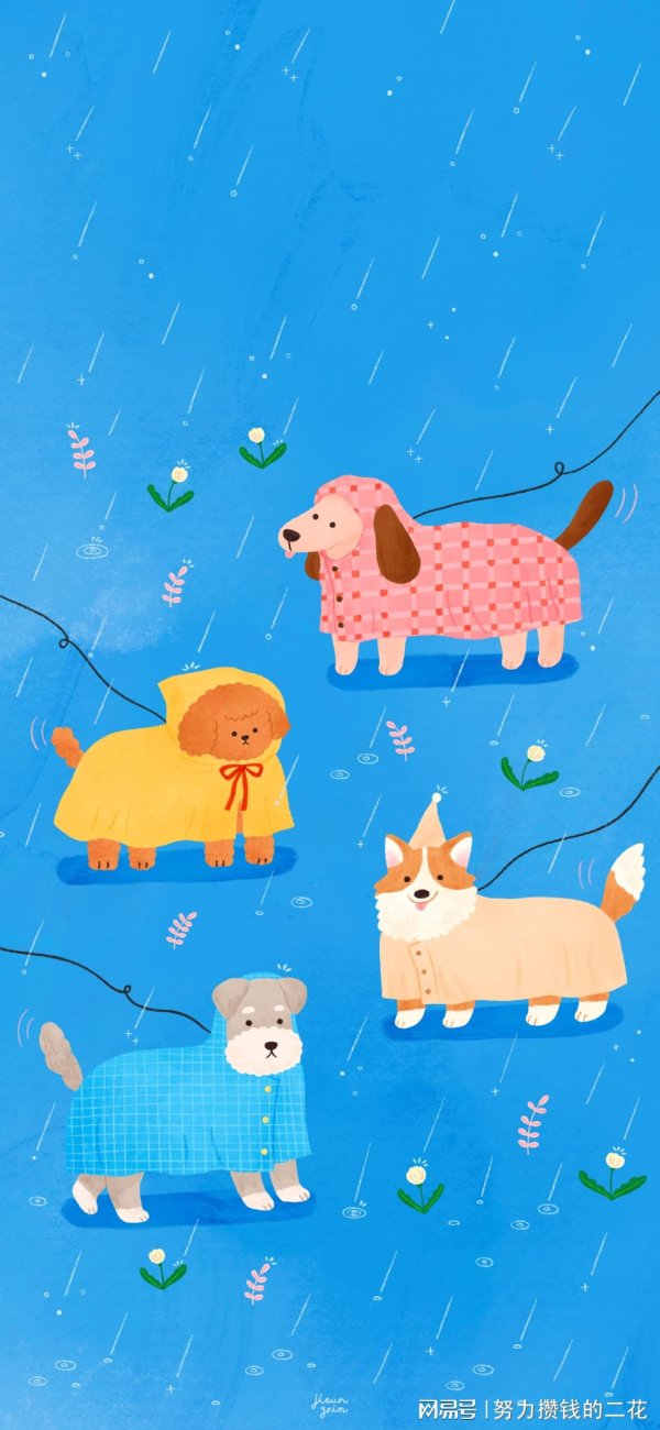 天金策略 39岁，我的极简生活，从“不乱买”开始！