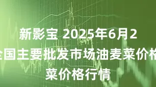 新影宝 2025年6月20日全国主要批发市场油麦菜价格行情