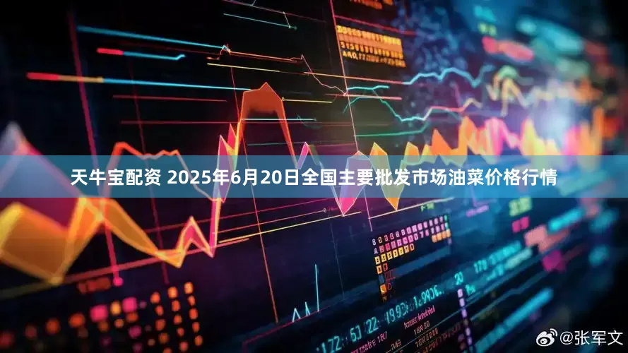 天牛宝配资 2025年6月20日全国主要批发市场油菜价格行情