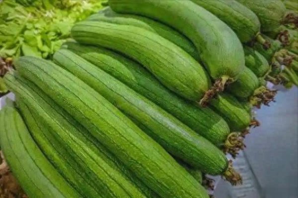 大圣证券 丝瓜立大功！医生坦言常吃丝瓜一段时间后或有4变化