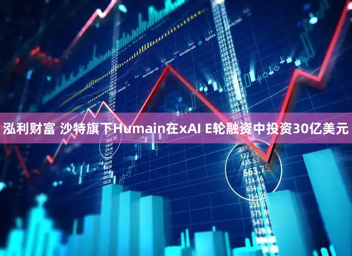 泓利财富 沙特旗下Humain在xAI E轮融资中投资30亿美元